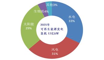周建平 推動兩個替代，大力發展可再生能源技術咨詢